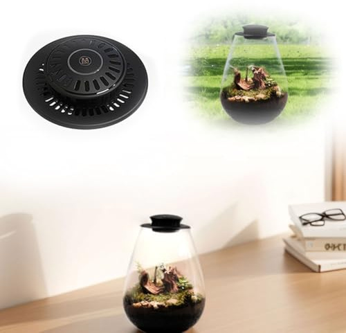Fiorky Lampe de culture LED, fougère mousse micro-paysage avec minuterie, lampe de croissance de plantes, 6 500 K, terrarium en verre, lampe de culture pour plantes d'intérieur, plantes