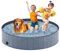 Taeku Piscine Chien Pliable, Piscine Baignoire Chiens Bassin de Baignade Portable Bain pour Grand Chien Chat Extérieur Intérieur (120 x 30 Gris)