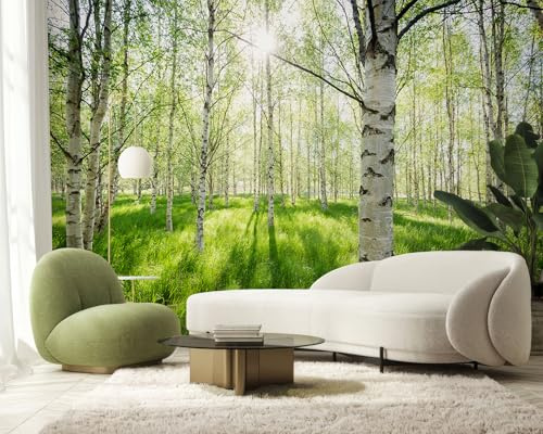 PaxGloz Fototapete Birkenwald Grüner Wald Tapete Frühlingswald Tapeten Vliestapete Modern Wandtapete Wohnzimmer Schlafzimmer Kinderzimmer Wanddeko Motivtapeten 300 x 210 cm (B x H)