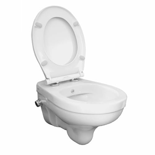 TAO Dusch-WC spülrandlos integrierte Armatur Edelstahldüse