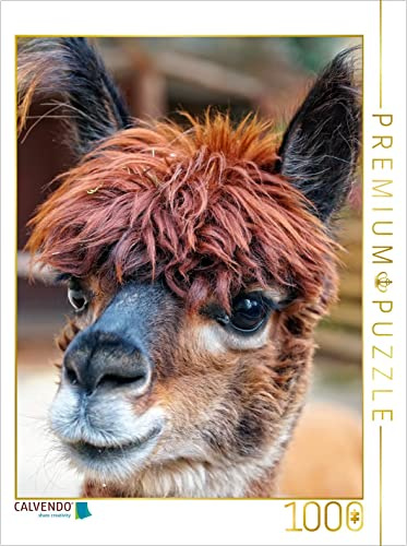 CALVENDO Puzzle Alpakas - süß und flauschig | 1000 Teile Lege-Größe 48 x 64 cm Foto-Puzzle für glückliche Stunden