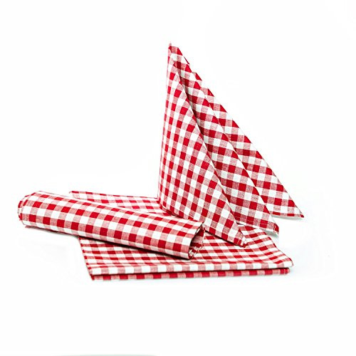 texpot Landhaus Servietten 30 x 30 cm - 12 Stück rot-weiß Kariert 5 mm Karo 100% Baumwolle