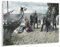 1000 Stück Puzzle Viking Legend Poster Erwachsene Kinder Holzpuzzle Spielzeug Lernspiel（75x50cm）