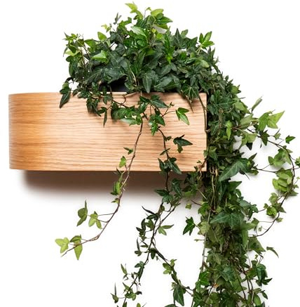 Wall Mounted Planter Indoor, Wooden Plant Shelf, Hanging Floating Display Rack for Plants, Succulents, Herbs, Curved Scandinavian Shelves (Oak)