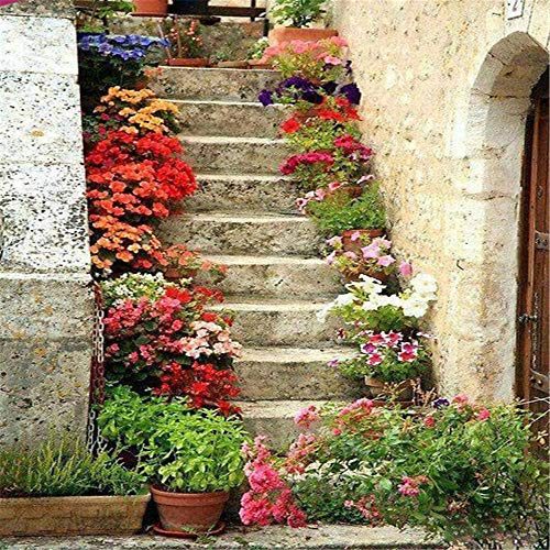 Yingxin34 Jigsaw Puzzle 3000 Teile, Blumen auf der Treppe 3000 Stück Puzzles für Erwachsene Kinder Freunde, Intellektuelles Gedankenspiel-48.03x31.88 Zoll (122 x 81cm)