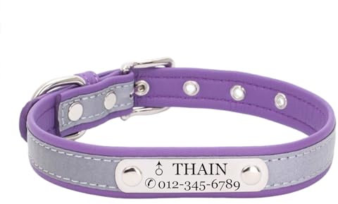 THAIN Personalised Reflective Cat Dog Collar with Name Plate Custom Engraved Cute Puppy Kitten Dog Cat Collars for Male Female Boy Girl Small Medium Large Dogs (Purple, XS)