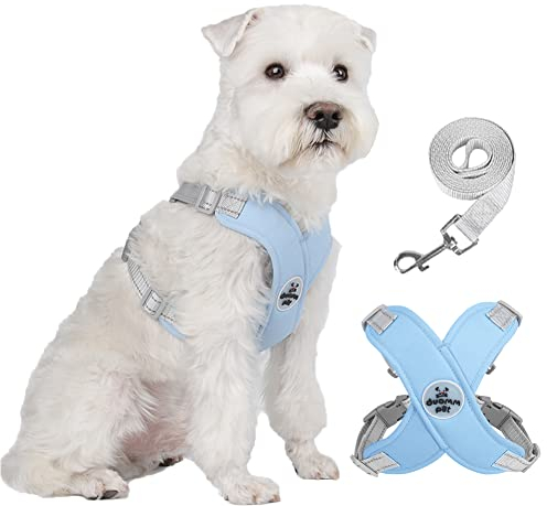 FEimaX Hundegeschirr für Kleine Mittlere Hunde Anti Zug Reflektierend Weich Brustgeschirr mit Hundeleine No Pull Hunde Geschirr Verstellbare Atmungsaktiv Welpen Hundegeschirr