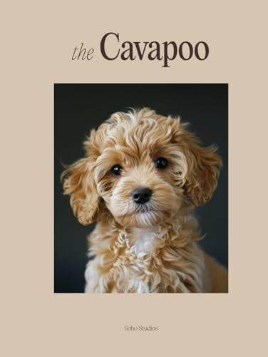 The Cavapoo: A Photography Coffee Table Book