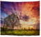A.Monamour Wanddekor Wandteppiche Bewölktem Himmel Frühling Sonnenaufgang Über Ländlichen Wiese Baum Natur Landschaft Fotografie Bild Stoff Wandbehang Tapisserie Wandbild Dekore 153x130cm