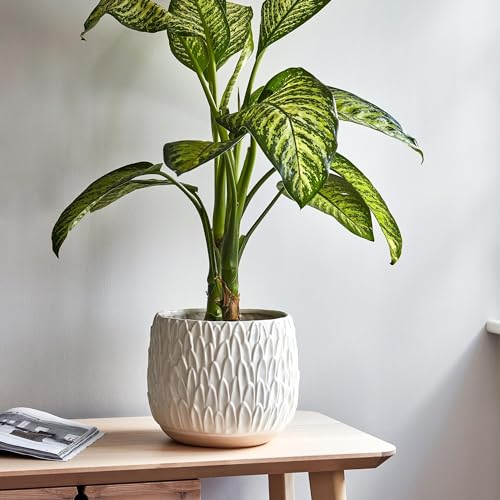 Ivyline Arles Leaf Embossed Bowl Planter in White - Stylish, Waterproof & Durable - Decorative Round Glazed Indoor Ceramic Flower Pot - H20cm x W22cm
