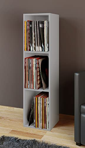 VCM Holz Schallplatten Regal | Stand Regal mit 3 Fächer für 100 Schallplatten | Maße: H. 107 x B. 34 x T. 30 cm - Platto Grau