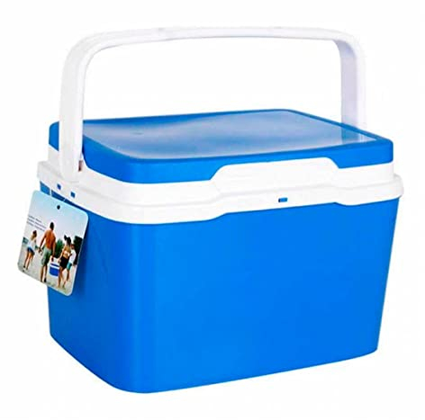 AC - Nevera portatil con Asas, Fabricado en Polipropileno Resistente, Ideal para Playa o acampadas, Porta Alimentos, Capacidad de 5L (19 x 26 x 20 cm).