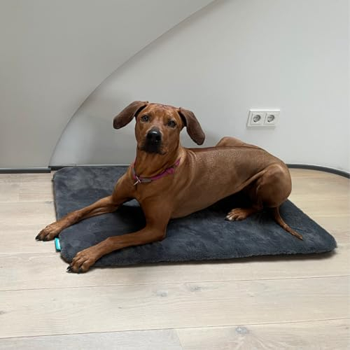 Manuly Hundedecke für unterwegs, Set aus Hundematte selbstaufblasend, flauschigem Langhaar Bezug und Tragetasche, waschmaschinentauglich, Bezug kann gewechselt Werden, 100x70x3,5cm, 1080g