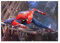 Displate Spiderman Metallposter Spiderman Poster Zimmer Poster Marvel Spiderman Deko Marvel Poster Spiderman Game Poster Marvel - Spiderman Game - Spider pose Poster 32x45cm