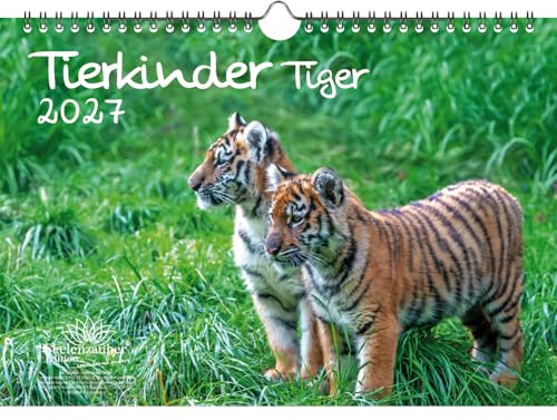 Tierkinder Tiger DIN A4 Kalender für 2027 Tiger - Seelenzauber