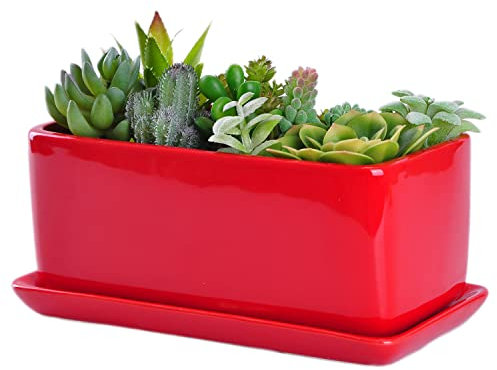 VanEnjoy 10 Inch Red Rectangle Ceramic Succulent Planter Pot Decorative Cactus Plant Pot Flower Container with Ceramic Tray