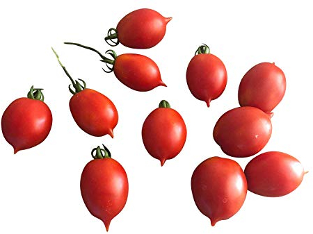 Tomate -Venusbrüstchen- 10 Samen