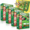 Gazon Express Professionnel - Fiable, résistant froid et chaleur - Germination ultra rapide et dense (10 jours) - Tout type de climat (4 + 2 offertes 300M²)