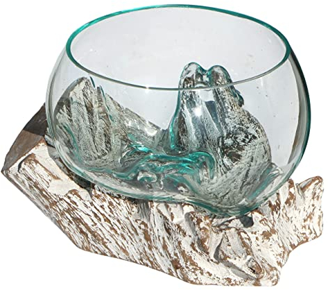 Wogeka - White Line Collection - Glas Schale in Wurzel-Holz Gamal - im modernen Style aus Holz als Geschenk-Idee zu Weihnachten Geburtstag Dekoration (Schale Lw (Ø Glas 19-20 cm))