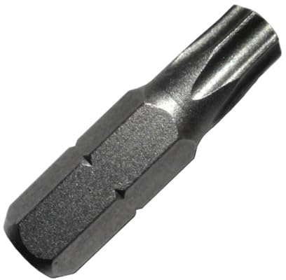 Sanpro Torx Bit 1/4' (6,35 mm) 25 mm lang, Klinge T40 / TX40