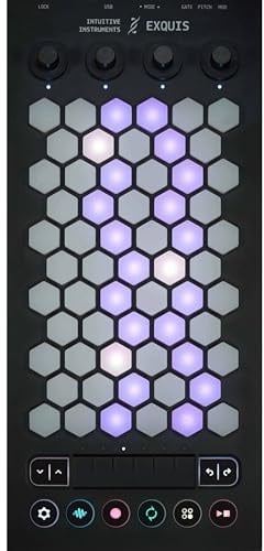 Intuitive Instruments Exquis 61-Key MPE MIDI Controller