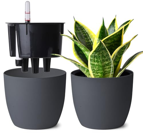 T4U 15cm Selbstbewässerungstopf Rund 2er Blumentopf Selbstbewässernd, Grau | Blumentopf mit Bewässerungssystem, Efeu, Einblatt, Hydrokultur Topf, Innenbereich, Außenbereich, Anfänger, Urlaubspflege