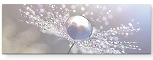 Eau Zone Wandbild auf Leinwand 150x50cm Pusteblume mit Wassertropfen