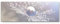 Eau Zone Wandbild auf Leinwand 150x50cm Pusteblume mit Wassertropfen