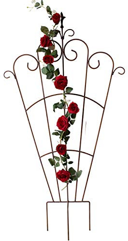 Rankgitter - Rankhilfe aus Eisen im Antik-Finish Kletterhilfe Rankhilfe Größe Viktoria - 78 x 150 cm