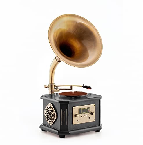 Eikosch Gramophone, Vintage Vinyl Record Player, 2 Speed Turntable with Radio, Can be Operated by Remote Control