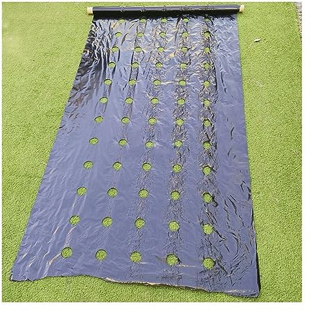 EVANEM Biologisch Abbaubare Unkrautsteuerung Mulch Film 0,02 Mm Dicke, Für Zuteilungen Gemüse Patch Borders Bodendeckel (Size : 0.95x30m with Holes)