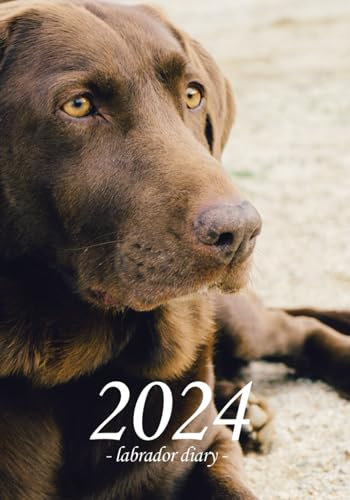 Labrador Diary 2024: Labrador 2024 diary with a week to view, with sections for 'Priorities' and 'To Do' lists, Annual Planner pages for 2023, 2024 ... 7 by 10 inches with a dog photo on the cover.