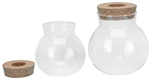 HANABASS 2pièces Lot de Vases pour Plantes Vase De Plantation Hydroponique Décoration Intérieure Exquis