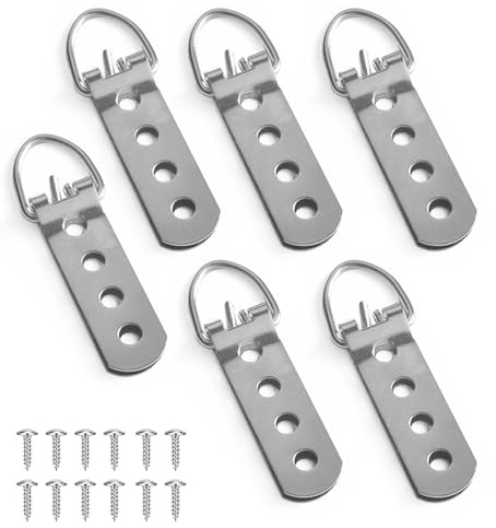 Heavy Duty Picture Hangers - TRACOMPAN 6-Pack D Rings for Picture Hanging | Super Strong D-Ring Hooks for Large Frames, Mirrors & Wall Art
