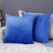 Deconovo 2er Set Samt Kissenbezüge Sofa Kissenbezug Zierkissenbezüge Weich Design Dekor Schlafzimmer Wohnzimmer Couch Büro, 40x40 cm, Blau