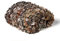 LOOGU 1.0 Filet de camouflage de l’armée allemande, protection solaire et visuelle, pour jardin, loisirs, camping, fête, bar, décoration, bionique, 2 x 3 m