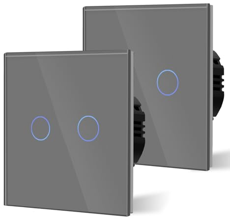 BSEED 2er Pack Normal Touch Lichtschalter, Glas Berührung Wandlichtschalter 110V - 240V 10 Amp Gehärtete Kristallplatte mit LED Lampe Hintergrundbeleuchtung 2 Fach 2 Weg Grau