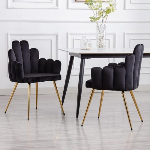 Wahson Esszimmerstühle 2er Set, Samt Polsterstuhl Muschel Sessel Küchenstuhl mit Rückenlehne Eckstuhl für Schlafzimmer Wohnzimmer,Schwarz