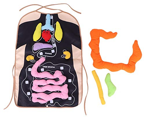 Hztyyier 3D Organ Schürze, Plüsch Schürze Anatomie Kinder Physiologische Schürze Menschlicher Körper Organe Bewusstseinsspielzeug