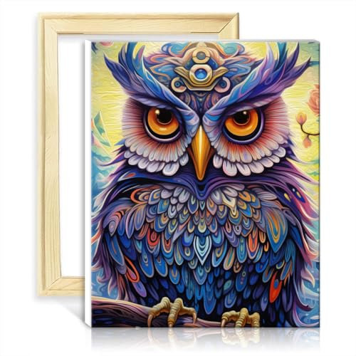 TANGFEIY Ölgemälde-Set auf Leinwand, Eule, für Kinder und Erwachsene, digitales Malen, Acrylbilder, Zahlen, mit Pinseln für die Wanddekoration zu Hause, mit Rahmen (30 x 40 cm)
