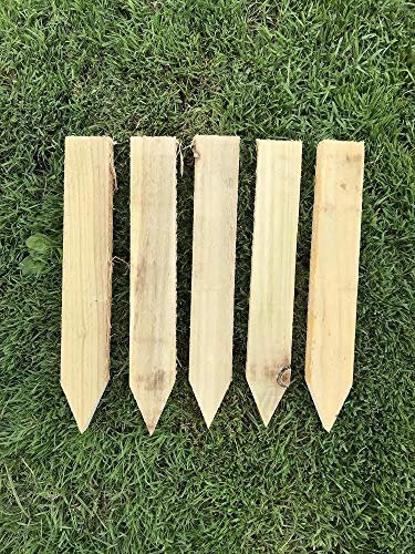 8 Pack 12 300mm Treated Pegs Wooden Stakes Posts Pegs 2”x1”