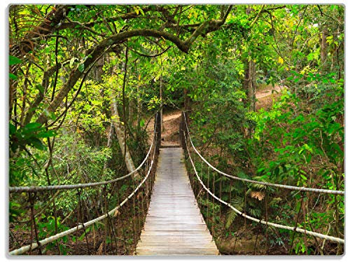 Wallario Glasunterlage/Schneidebrett aus Glas, Hängebrücke im Urwald grüner Dschungel, Größe 30 x 40 cm, Kratzfest, aus Sicherheitsglas