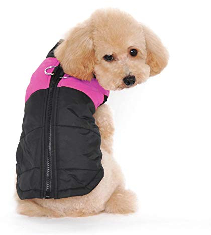 Ectkuee Winter Warm Pet Hund Kleidung klein wasserdichte Hundemantel Jacke Winter Gesteppt Gepolstert Puffer Pet Kleidun g