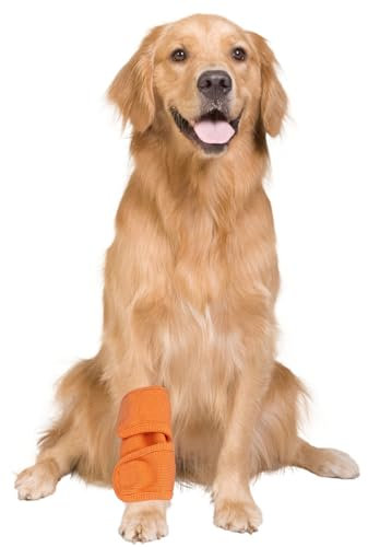 2pcs Dog Front Leg Wrist Guard,Dog Cat Leg Brace Elbow Protector Warm Knee Pads Surgery Wound Leggings Guard for Dogs Prevent Injury (S-Orange)