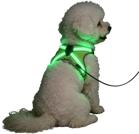 FIRE BULL LED Hundegeschirr Leuchtend USB Wiederaufladbar | Mittel- und Großhunde sowie Katzen,Wasserfest, Reflektierend, mit USB-C Ladung, 3 Lichtstufen, mit Zugleine-Haken