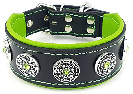 Bestia Bijou Hundehalsband mit Zierconchos. 100% Leder. Weich gepolstert. Handgefertigt in Europa!