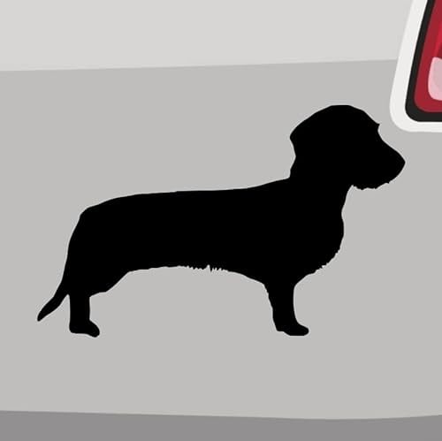 Rauhhaardackel Aufkleber 6 Größen 21 Farben- Dachshund Jagdhund Wier hair Teckel