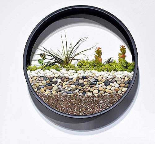 Ecosides Round Wall Hanging Planter, Modern Metal Circle Basket Plant pots Hanging Flower Vase Artificial Succulent Plants Glass Container Freestanding Mount Planter Holder Home Decor