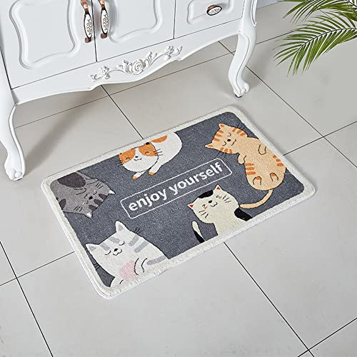 Badematte Rutschfest Flauschige Mikrofaser Badezimmerteppich, Weicher Badvorleger mit Wasserabsorbierenden, Schön Fußmatte, Supersaugfähige Badteppiche für Badewanne, Dusche und Badezimmer F 40X60cm