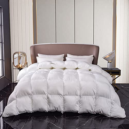MH MYLUNE HOME Down Alternative Comforter Queen Size, Winter Warm Duvet Insert Fluffy Bed Comforter Insert White Baffle Box Stitched with Corner Tabs, Queen